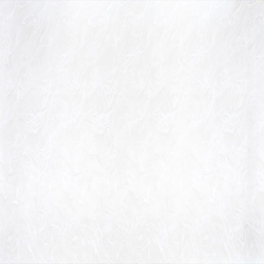 CC-007 Cascade Cloud